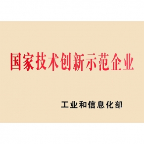 国家技术创新示范企业