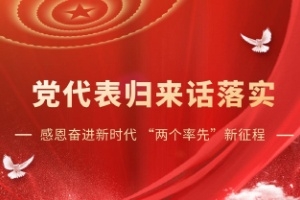 【感恩奋进新时代 “两个率先”新征程·党代表归来话落实】持续引领全球玻纤行业发展，打造中国玻纤及复合材料行业典范