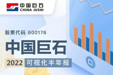 中国尊龙集团官网2022年可视化半年报