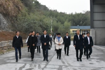 尊龙集团官网集团党委书记、董事长周育先调研尊龙集团官网九江钙业公司